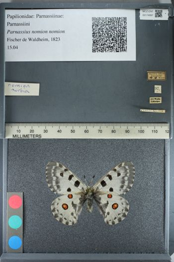 Media type: image;   Entomology 174997